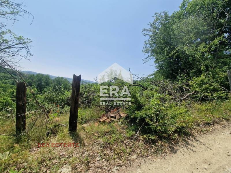 Til salgs  Hus region Kyustendil , Drumohar , 65 kvm | 64642736 - bilde [6]