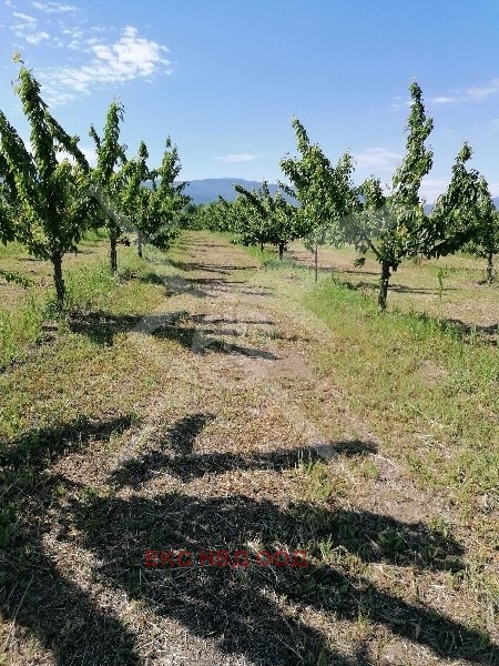 Продава ПАРЦЕЛ | Imot.bg — изображение 1