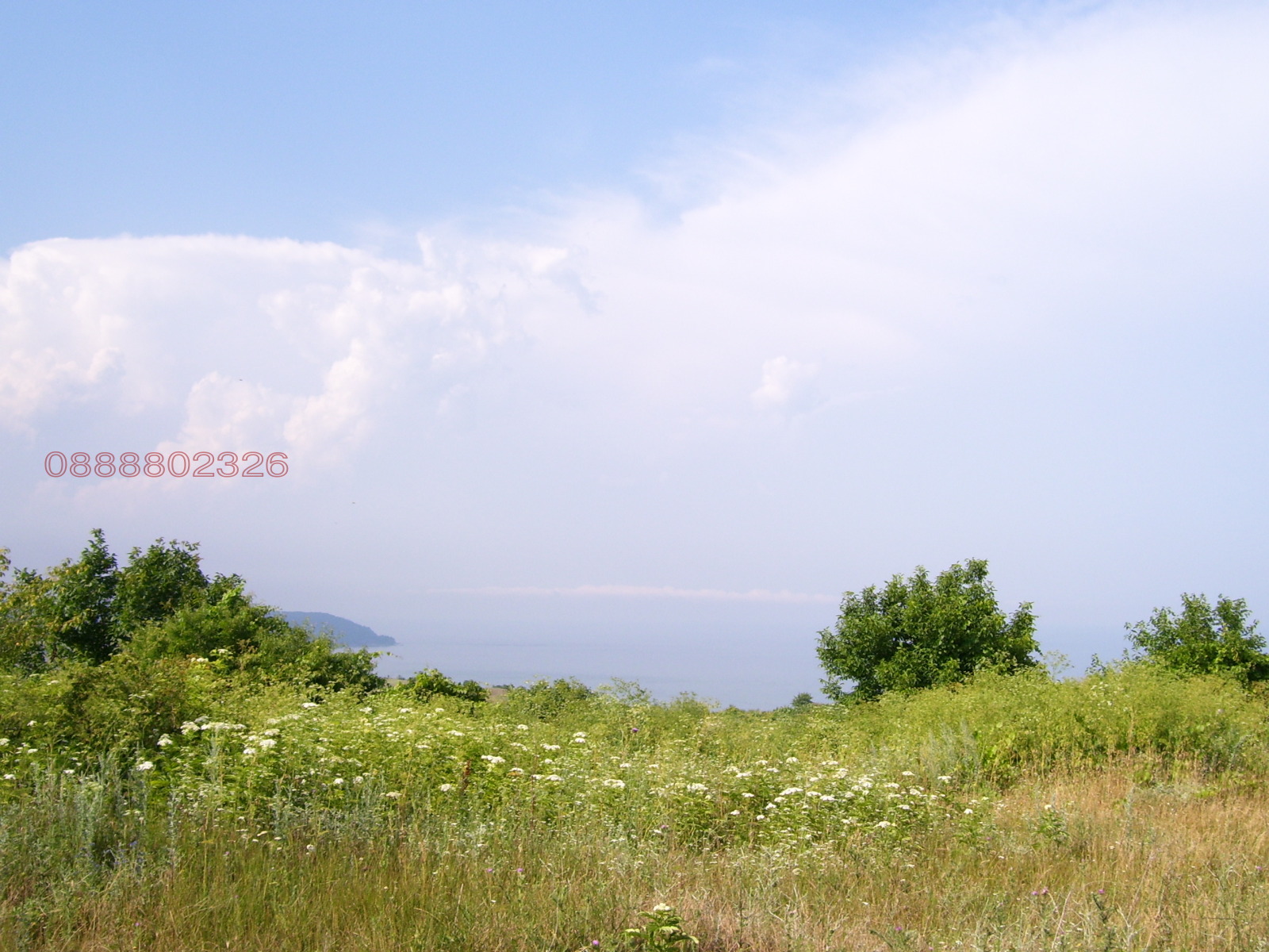 ������� ������ | Imot.bg � ����������� 1
