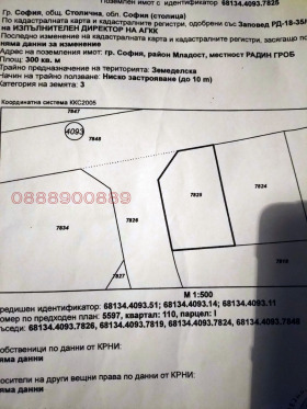 ����� ������� ������,���� �����, ���������������