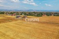 Продава ПАРЦЕЛ, област София, гр. Божурище • 36750 € • 38487743 — Holmes.bg