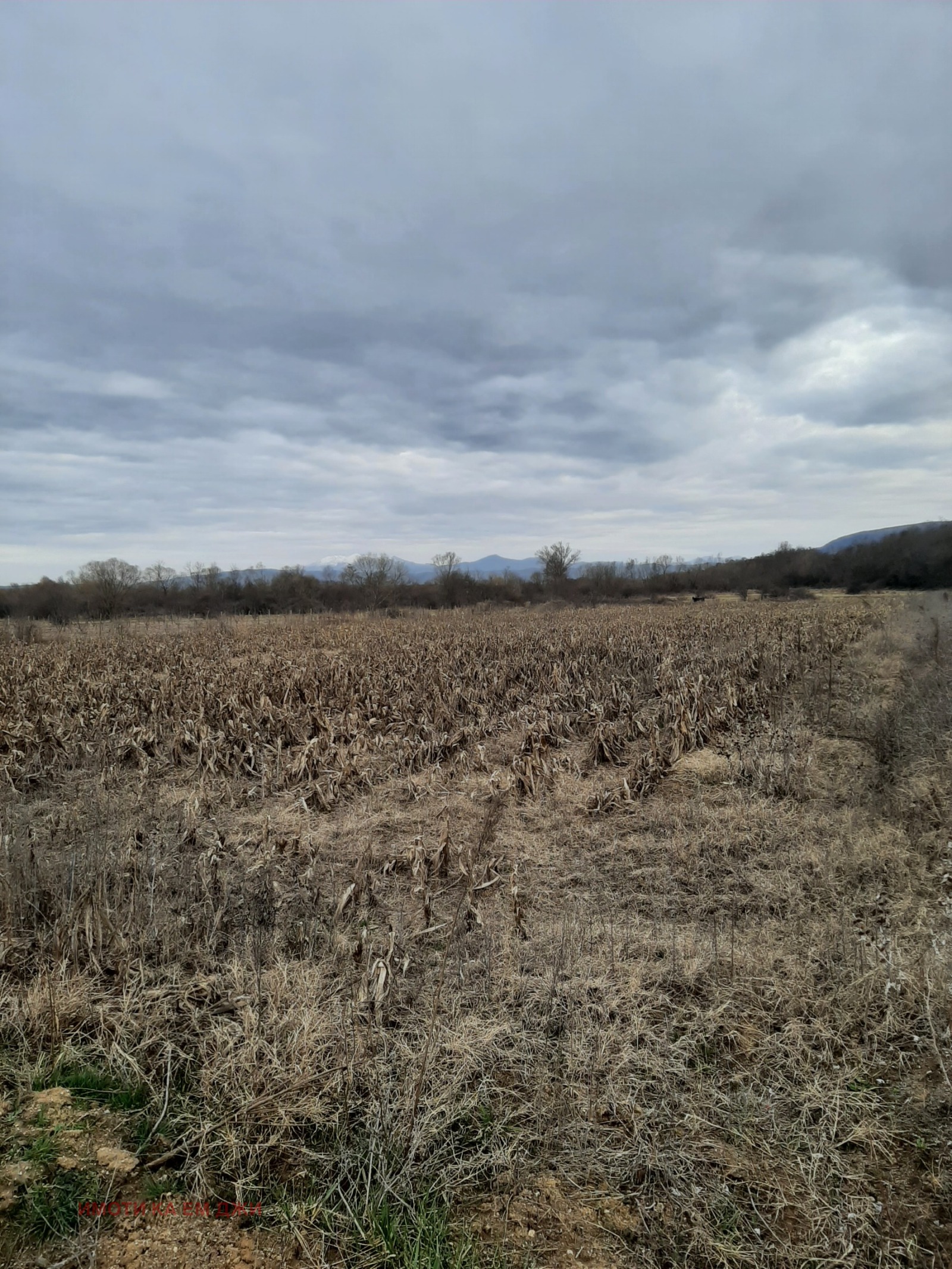 ������� ���������� ���� | Imot.bg � ����������� 1