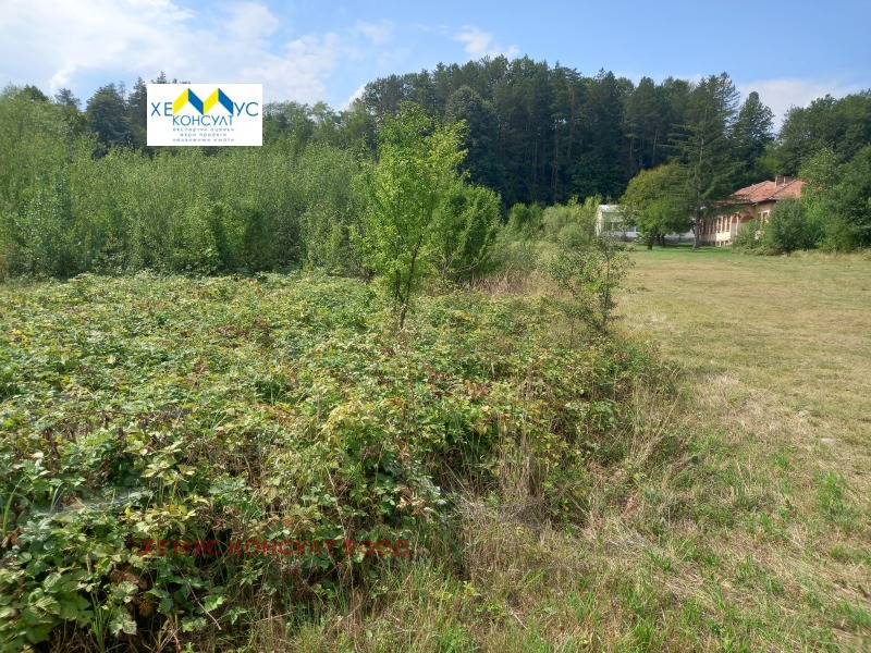 À vendre  Parcelle région Lovetch , Skandaloto , 1000 m² | 34900768 - image [3]