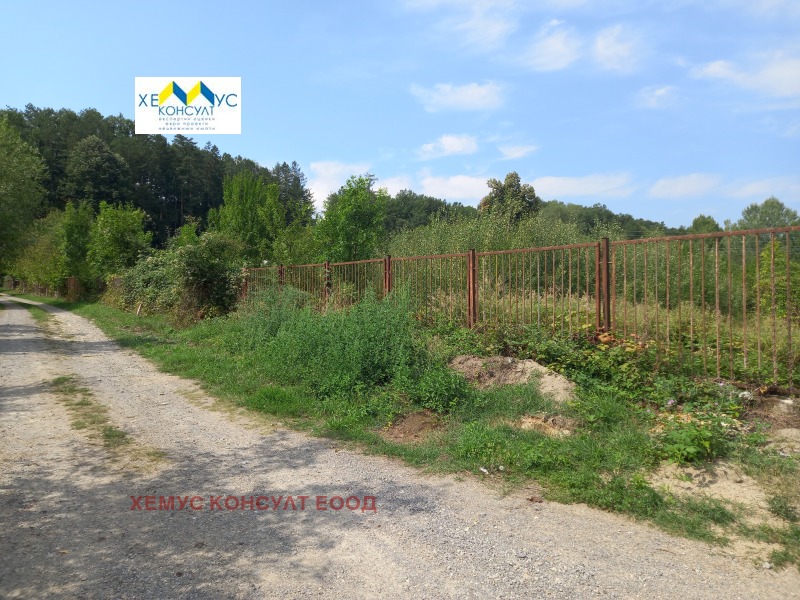 À vendre  Parcelle région Lovetch , Skandaloto , 1000 m² | 34900768 - image [5]
