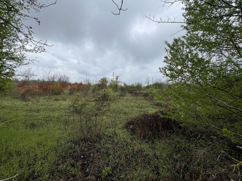 Продава ПАРЦЕЛ, гр. Плевен, 9-ти квартал, снимка 2 - Парцели - 53117243