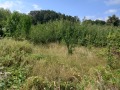 Продава ПАРЦЕЛ, област Ловеч, с. Скандалото • 39000 лв. • 32193319 — Holmes.bg
