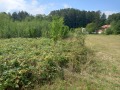 Продава ПАРЦЕЛ, област Ловеч, с. Скандалото • 39000 лв. • 32193319 — Holmes.bg