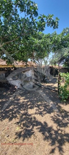 ������� ���� | Imot.bg � ����� ������ 4