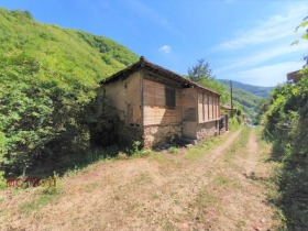 ����� ������� ����,�. �����, ������ �����������