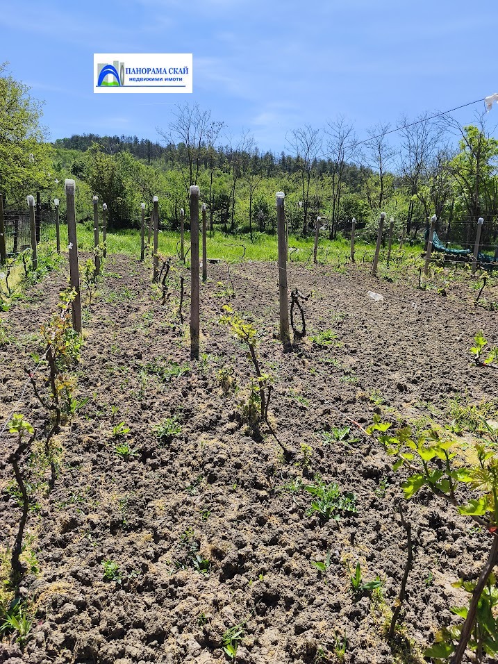 Продава КЪЩА, с. Дисевица, област Плевен, снимка 13 - Къщи - 54345315