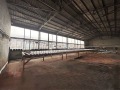 Продава ПРОМ. ПОМЕЩЕНИЕ, област Русе, с. Новград • по договаряне • 89436094 9