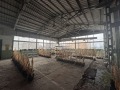 Продава ПРОМ. ПОМЕЩЕНИЕ, област Русе, с. Новград • по договаряне • 89436094 13