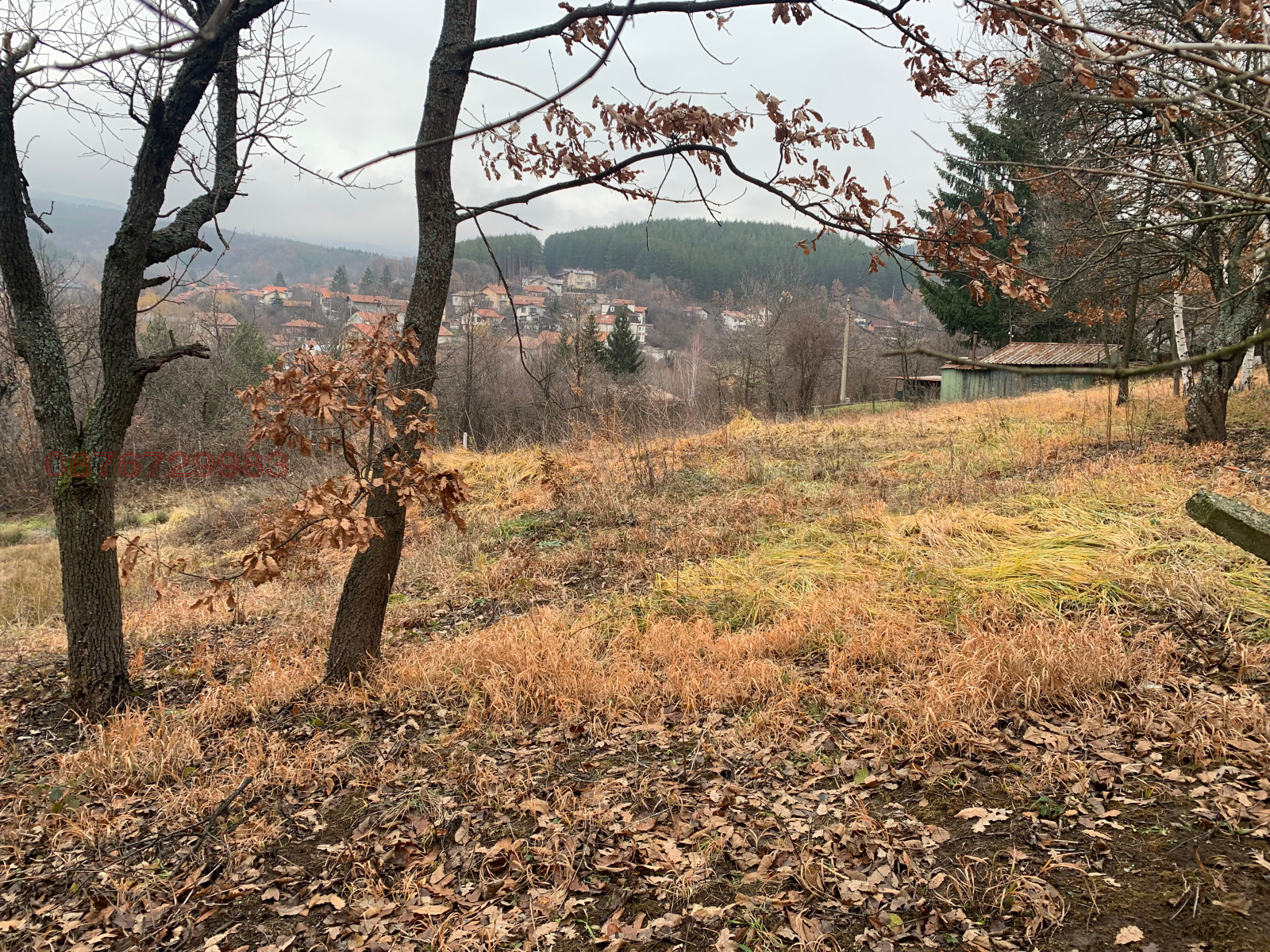 ������� ������ | Imot.bg � ����������� 1