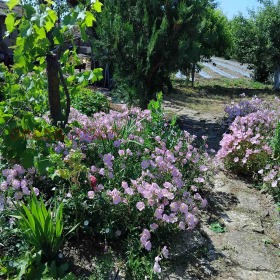 ������� ���� | Imot.bg � ����� ������ 14