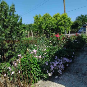 ������� ���� | Imot.bg � ����� ������ 3