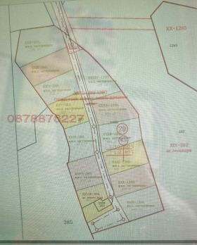 ����� ������� ������,�. ���������, ������ ������