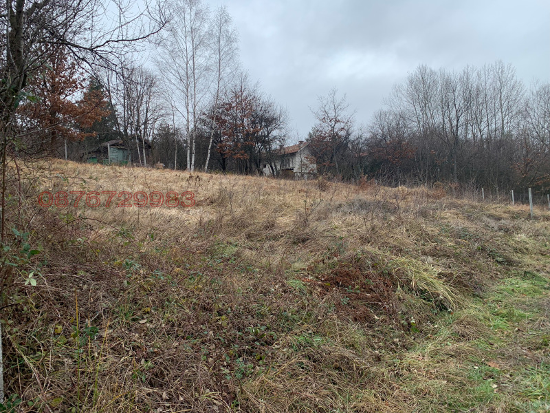 Продава ПАРЦЕЛ, с. Драгичево, област Перник, снимка 3 - Парцели - 52792420