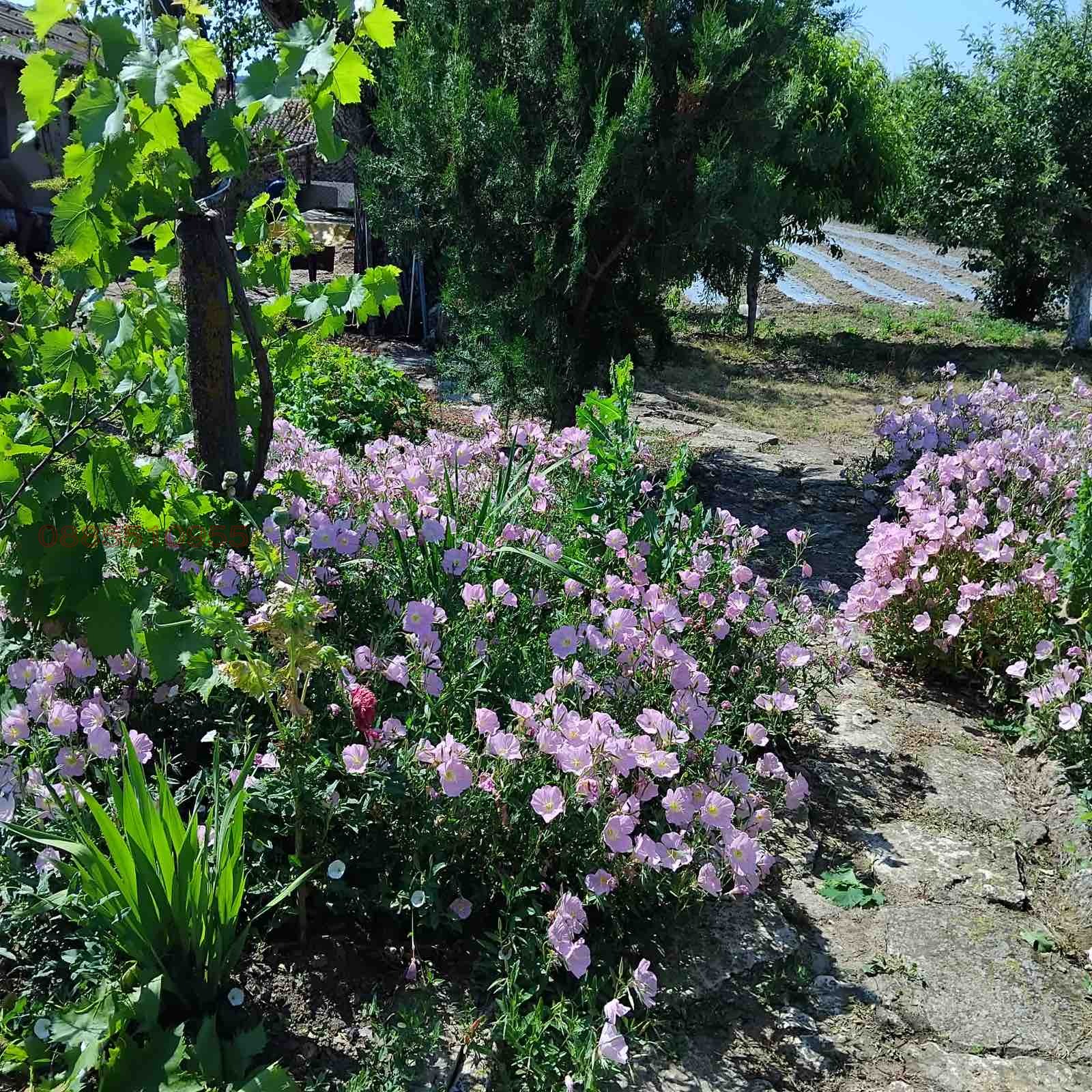 Продава КЪЩА, с. Видно, област Добрич, снимка 14 - Къщи - 55715314