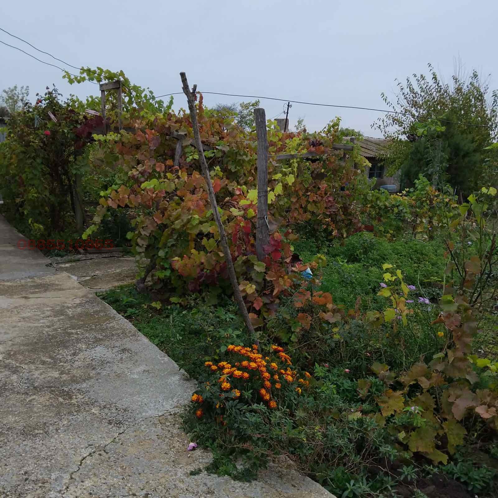 Продава КЪЩА, с. Видно, област Добрич, снимка 11 - Къщи - 55715314