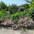 Продава КЪЩА, с. Видно, област Добрич, снимка 4