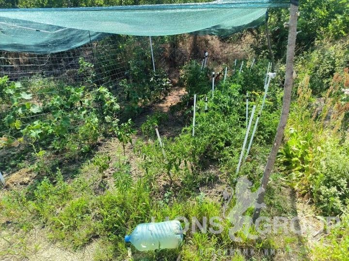 In vendita  Complotto Varna , m-t Planova , 1000 mq | 86896339 - Immagine [9]