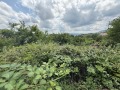Продава ПАРЦЕЛ, с. Геша, област Габрово, снимка 13