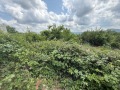 Продава ПАРЦЕЛ, с. Геша, област Габрово, снимка 4