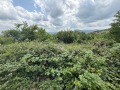 Продава ПАРЦЕЛ, с. Геша, област Габрово, снимка 5