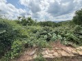 Продава ПАРЦЕЛ, област Габрово, с. Геша • 17500 € • 57000755 — Holmes.bg