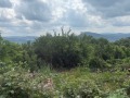 Продава ПАРЦЕЛ, област Габрово, с. Геша • 17500 € • 57000755 — Holmes.bg