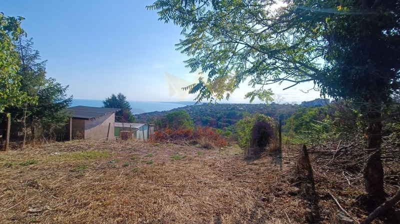 Na prodej  Spiknutí oblast Dobrich , Balčik , 1989 m2 | 15062432