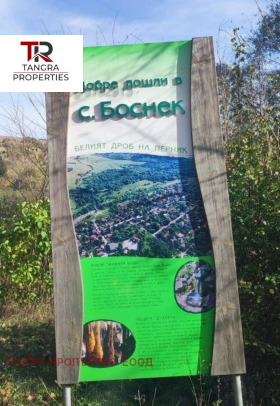 Hus Bosnek, region Pernik 1