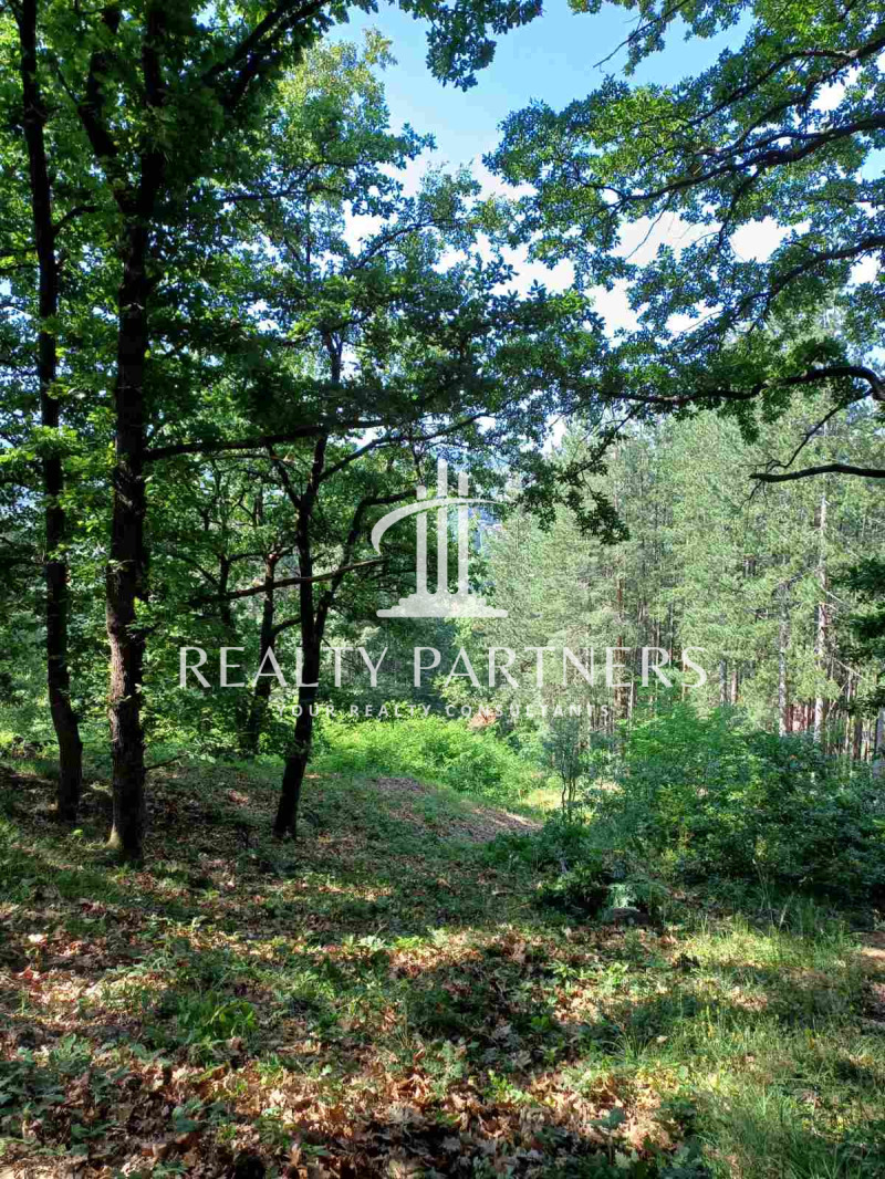 Продава  Парцел област Перник , с. Рударци , 1000 кв.м | 51959049 - изображение [5]