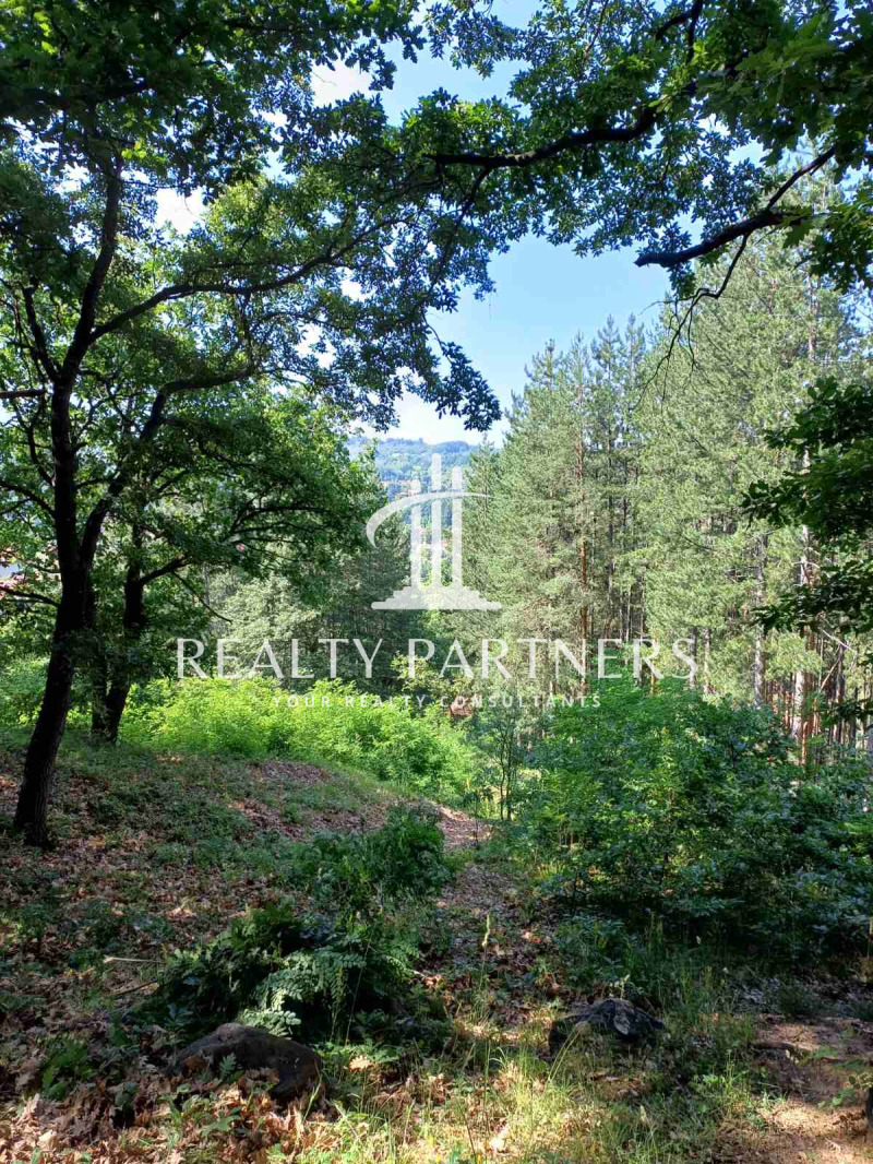Продава  Парцел област Перник , с. Рударци , 1000 кв.м | 51959049 - изображение [9]