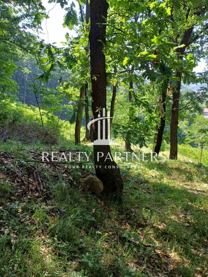 Продава  Парцел област Перник , с. Рударци , 1000 кв.м | 51959049