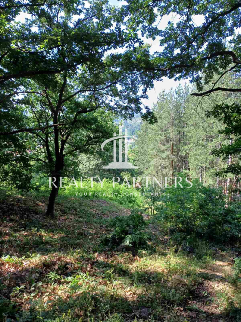 Продава  Парцел област Перник , с. Рударци , 1000 кв.м | 51959049 - изображение [6]
