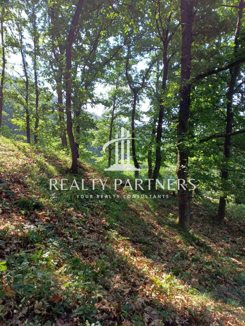 Продава  Парцел област Перник , с. Рударци , 1000 кв.м | 51959049 - изображение [7]