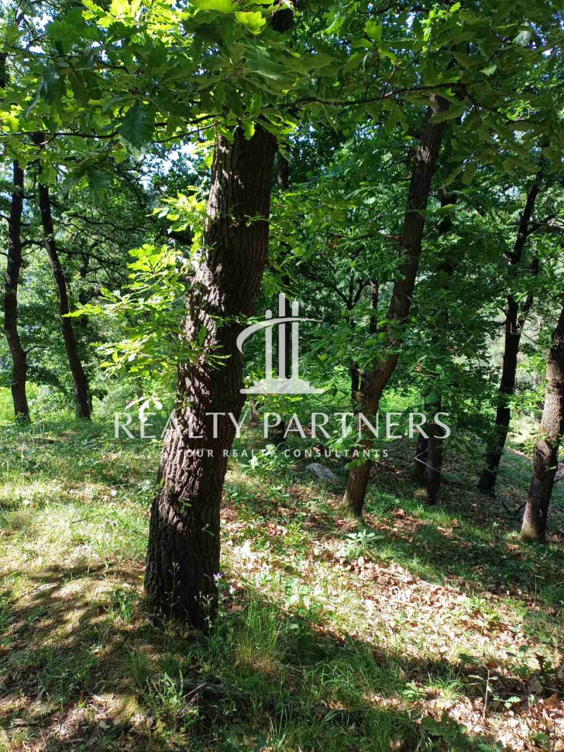 Продава  Парцел област Перник , с. Рударци , 1000 кв.м | 51959049 - изображение [4]