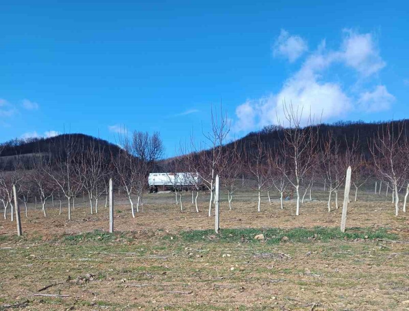 Продава  Земеделска земя област Бургас , с. Планиница , 22 дка | 20154168 - изображение [8]