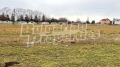 Продава ЗЕМЕДЕЛСКА ЗЕМЯ, гр. Ахелой, област Бургас, снимка 12