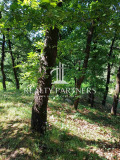 Продава ПАРЦЕЛ, област Перник, с. Рударци • 95000 € • 20619865 — Holmes.bg