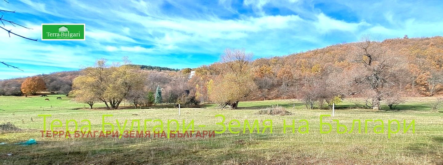 ������� ������ | Imot.bg � ����������� 1