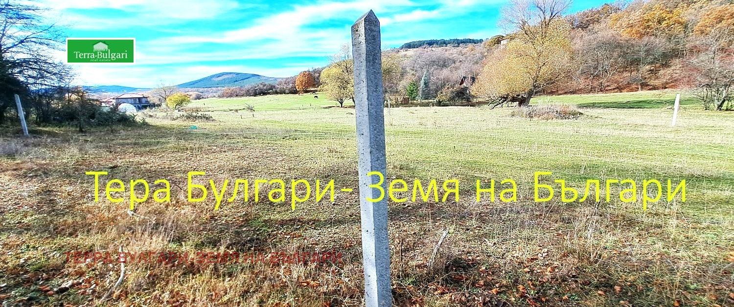 ������� ������ | Imot.bg � ����������� 3