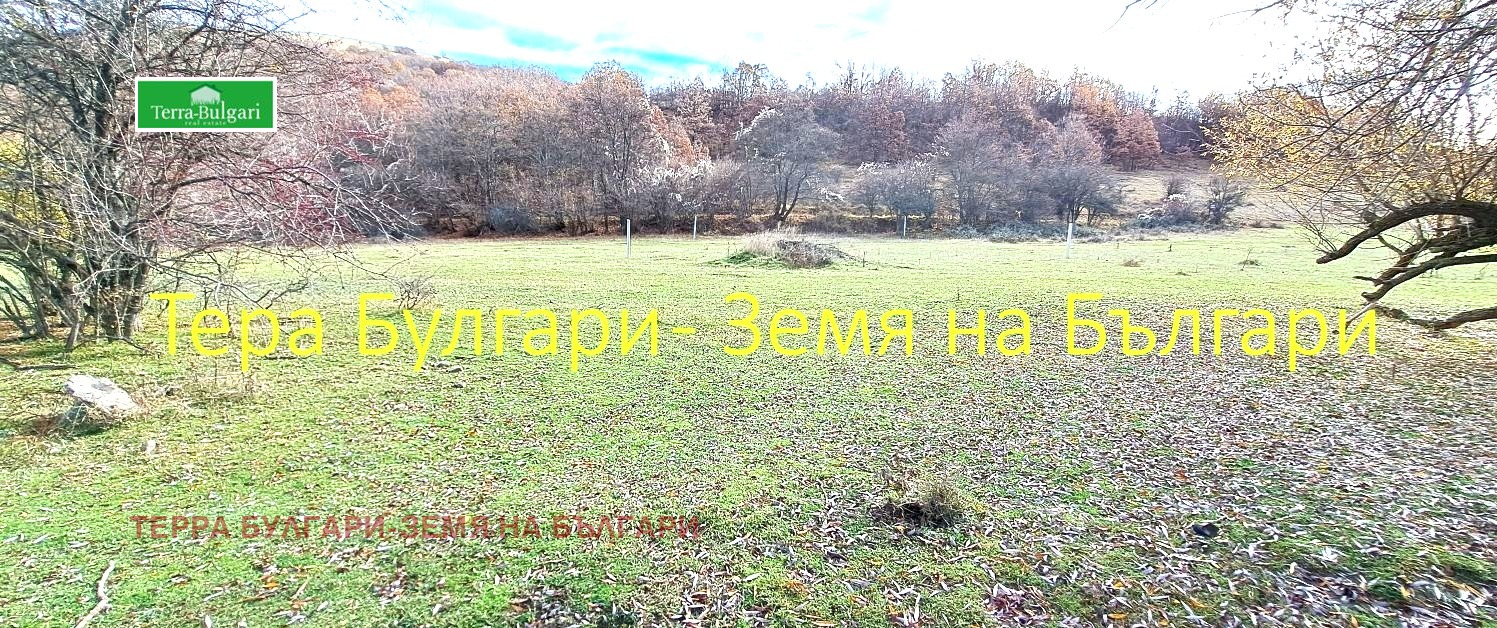 ������� ������ | Imot.bg � ����������� 5