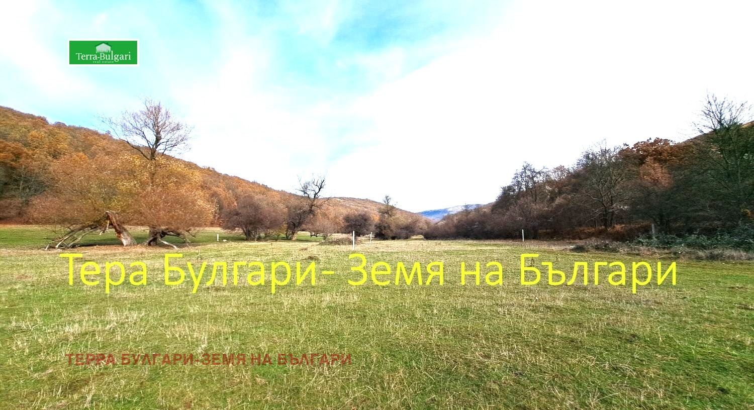 ������� ������ | Imot.bg � ����������� 13