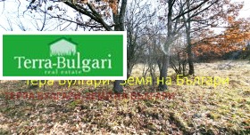 ������� ������ | Imot.bg � ����� ������ 17