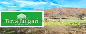 ������� ������ | Imot.bg � ����� ������ 2