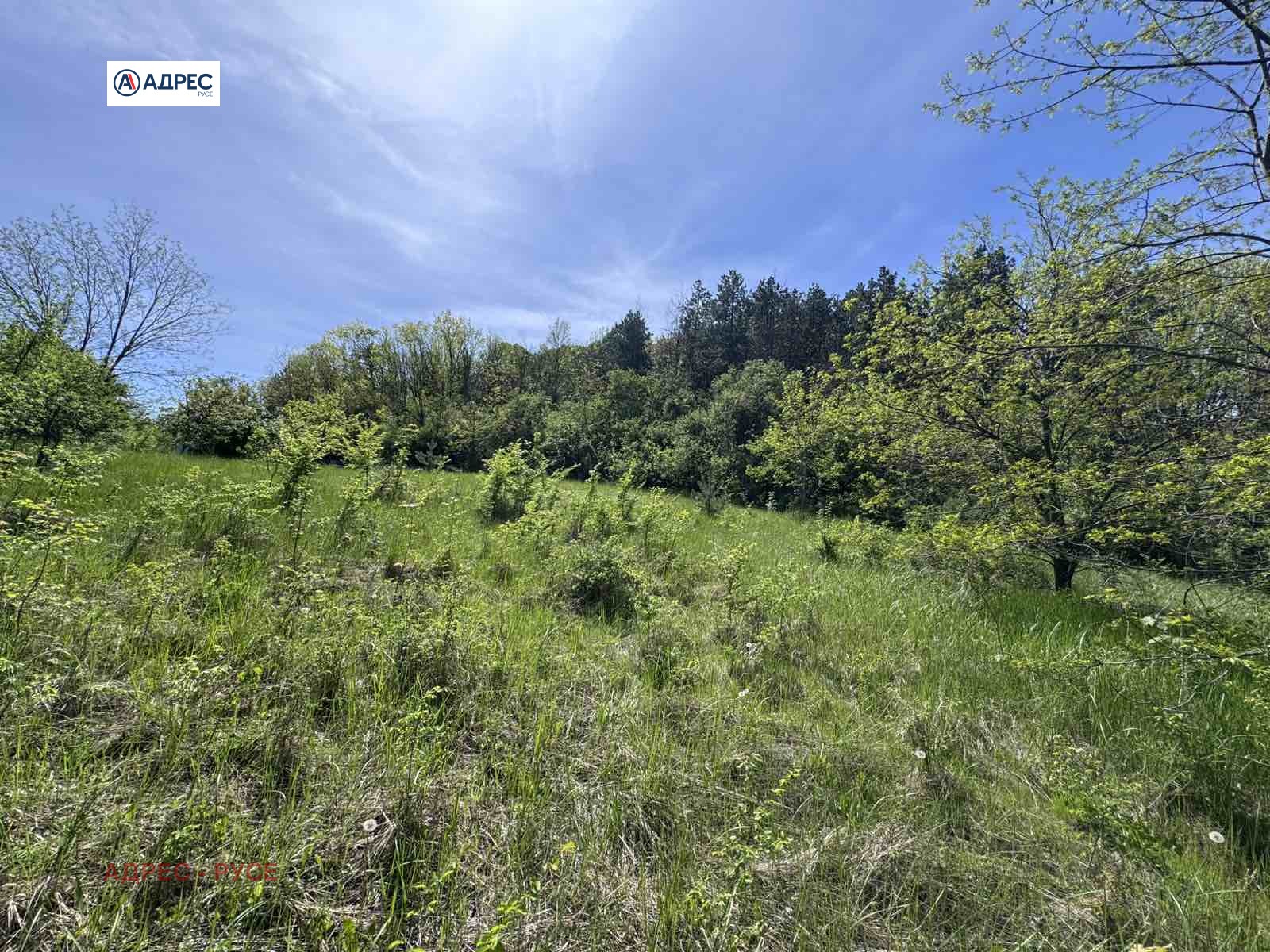 Продава ПАРЦЕЛ, с. Николово, област Русе, снимка 2 - Парцели - 49115442