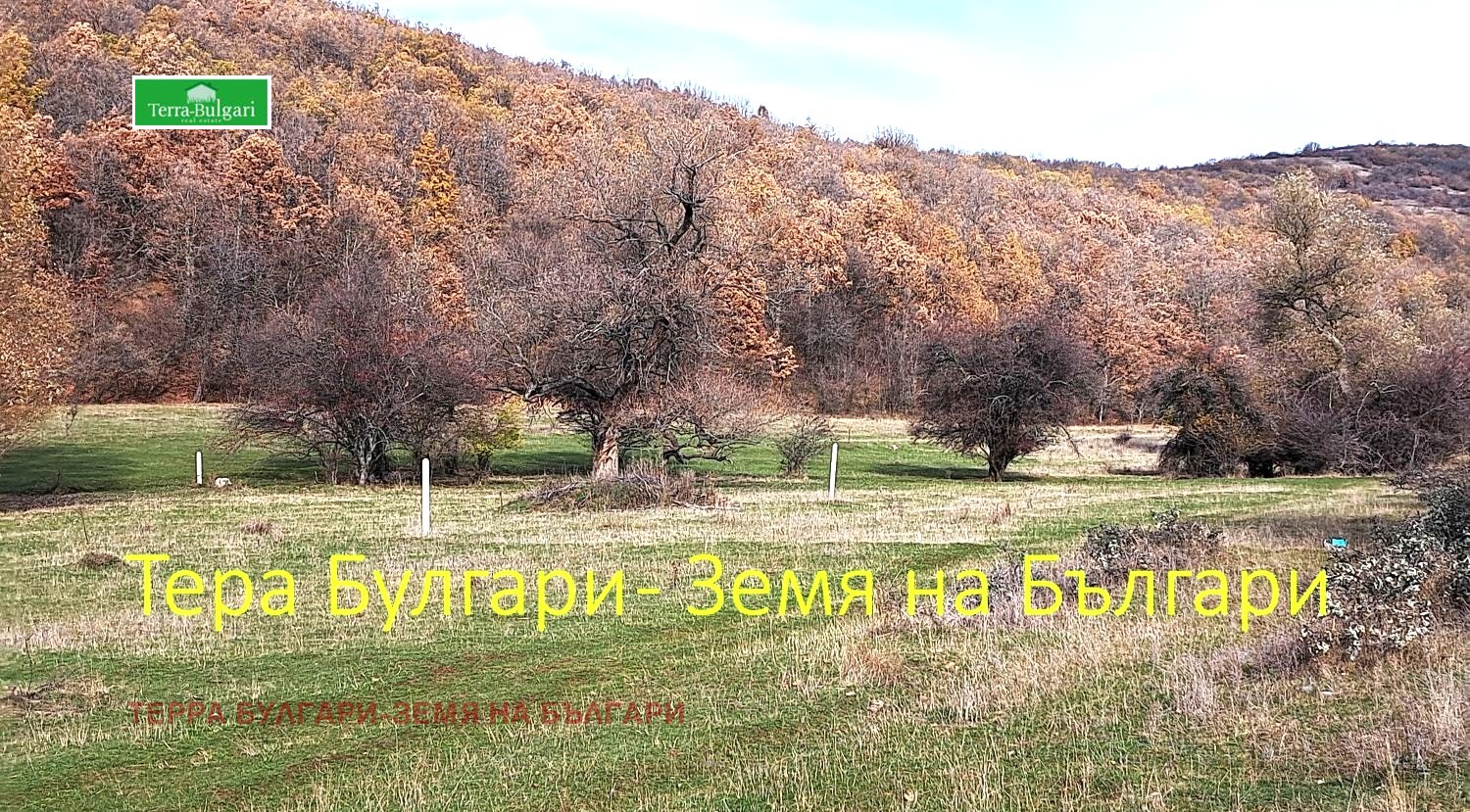 Продава ПАРЦЕЛ, с. Боснек, област Перник, снимка 15 - Парцели - 55254490