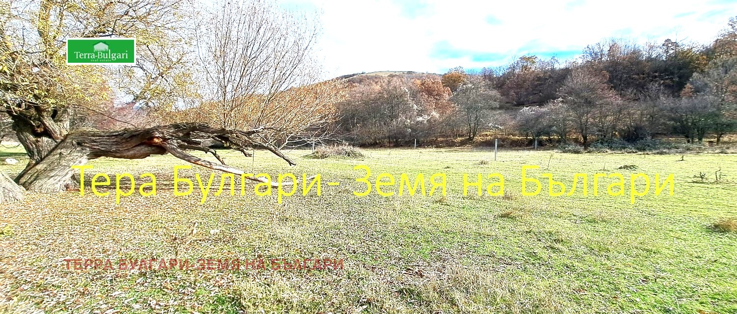 Продава ПАРЦЕЛ, с. Боснек, област Перник, снимка 6 - Парцели - 55254490